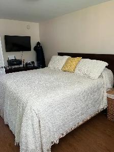 Gorgeous village home for sale near Thunder Bay - Photo 3