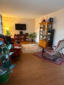 Gorgeous village home for sale near Thunder Bay - Photo 20