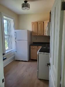 $1,595/Month | All-Inclusive 1-Bedroom Apt | July 1 | Woodstock - Photo 6