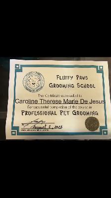 Certified Pet Groomer - Photo 2