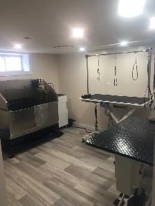 Certified Pet Groomer - Photo 3