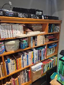Bookshelf Solid Pine 6' Long in NE Barrie - Photo 2