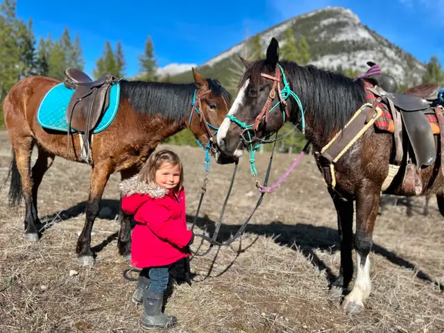 Western Pony!