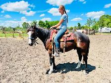 Western Pony! - Photo 5