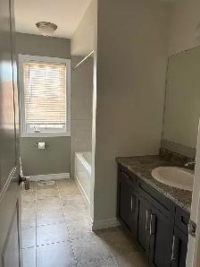 4-Bed   Parking/Garage/Yard/Laundry Incl! (William Fair Dr) - Photo 8