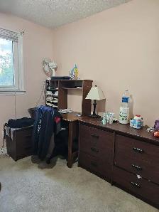 Room for Rent Close To York U, Env.Can, Sanofi Pasteur, UoT Aero - Photo 4
