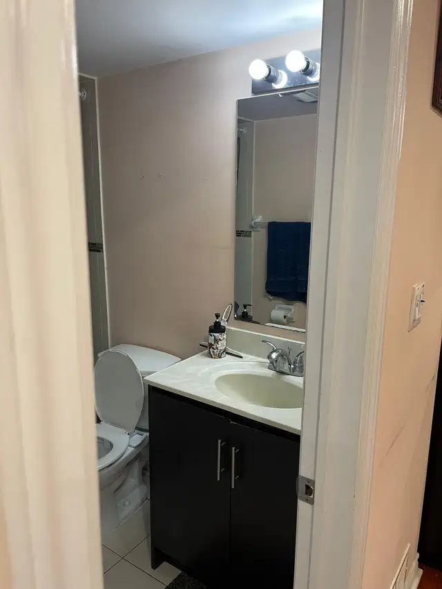 Roommate needed to share basement apartment basement in E