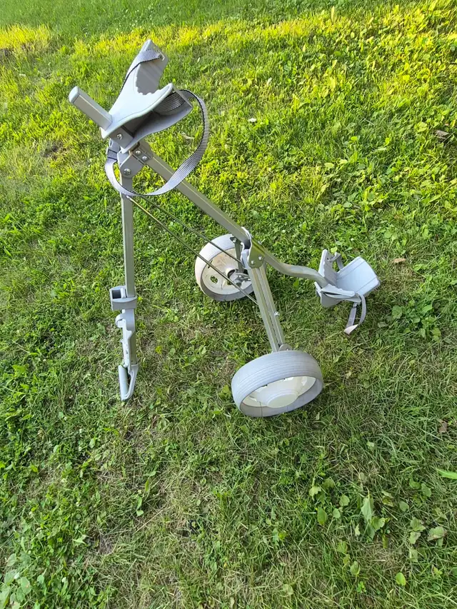 Golf cart push pull