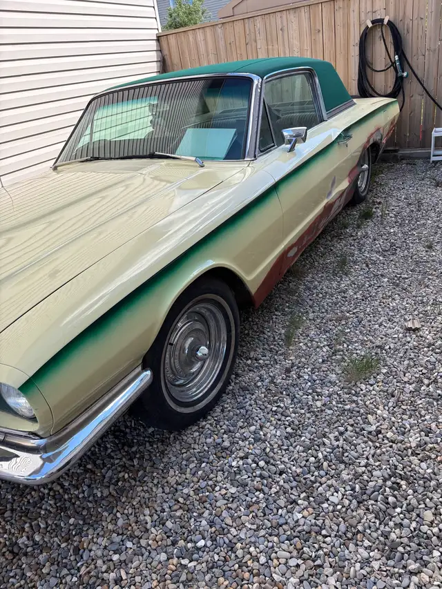 1966 thunder bird