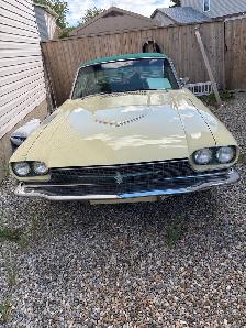 1966 thunder bird - Photo 5