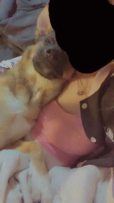 Pet sitting