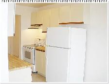 Pristinely Clean 1 Bedroom Apartment at 1600 Adelaide Street - Photo 3