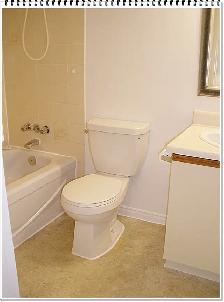 Pristinely Clean 1 Bedroom Apartment at 1600 Adelaide Street - Photo 5