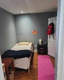2 bedroom basement apartment - Photo 7