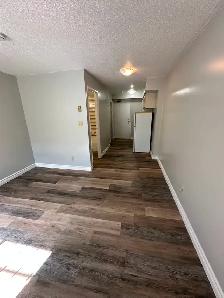 Bachelor in Minnow Lake - Photo 5