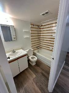 Bachelor in Minnow Lake - Photo 6