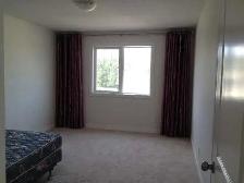 Beatiful bridge water forest house for rent! Available July 1st - Photo 4