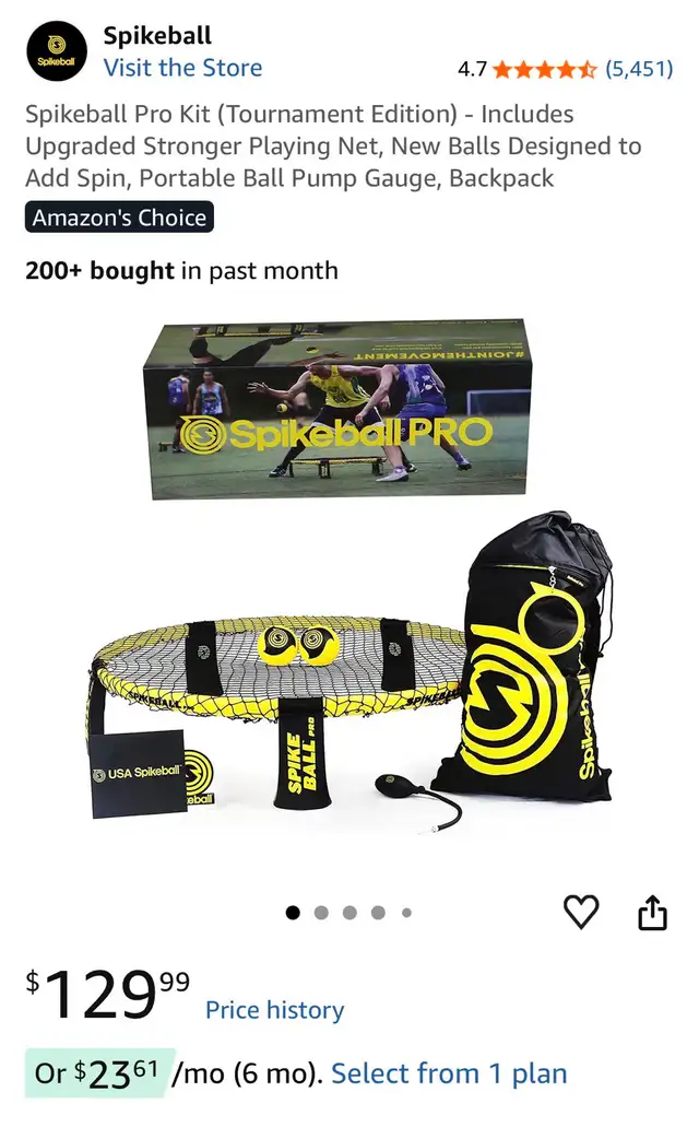 Spikeball Pro