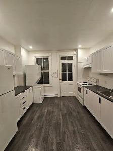 3 1/2 appartement Rénové à louer Plateau-Mont-Royal / Mile-end