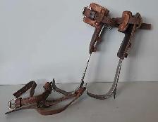 Tree Spurs (30311216)