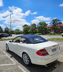 2008 Mercedes-Benz convertible CLK 550 - Photo 7
