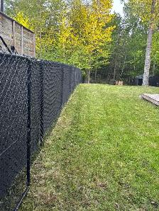 BACKYARD CLEAN-UP SPECIAL! - Photo 2