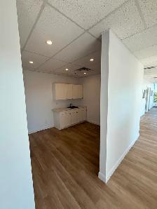 2 MOIS GRATUITS / 2 MONTHS FREE – Bureau Rénové – 1581 pi² Métro - Photo 17