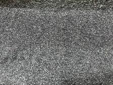Premium Carpet Sale – Great Prices! - Photo 10