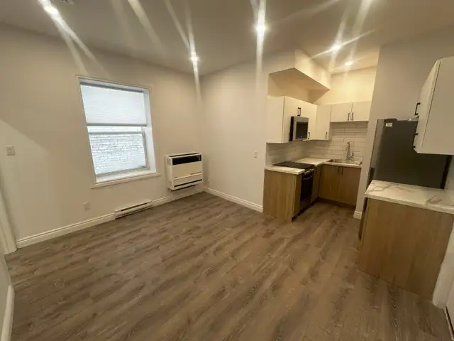 Renovated 1-Bedroom Unit- Centretown - Available September 1st!