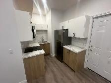 Renovated 1-Bedroom Unit- Centretown - Available September 1st! - Photo 3