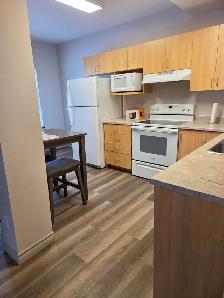 1 Bedroom Apartment for rent - Photo 7