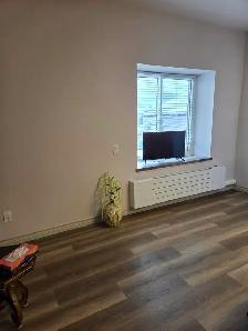 1 Bedroom Apartment for rent - Photo 9