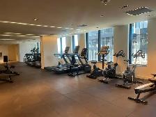 BRAND NEW PENTHOUSE CORNER SUITE | 54TH FLOOR | 2 BED   2 BATH - Photo 8