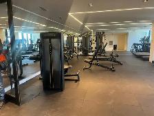 BRAND NEW PENTHOUSE CORNER SUITE | 54TH FLOOR | 2 BED   2 BATH - Photo 9
