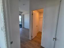 BRAND NEW PENTHOUSE CORNER SUITE | 54TH FLOOR | 2 BED   2 BATH - Photo 21