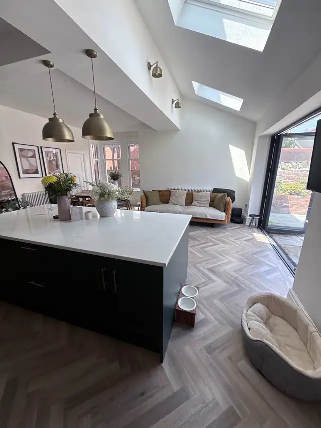 Professional Home Cleaner