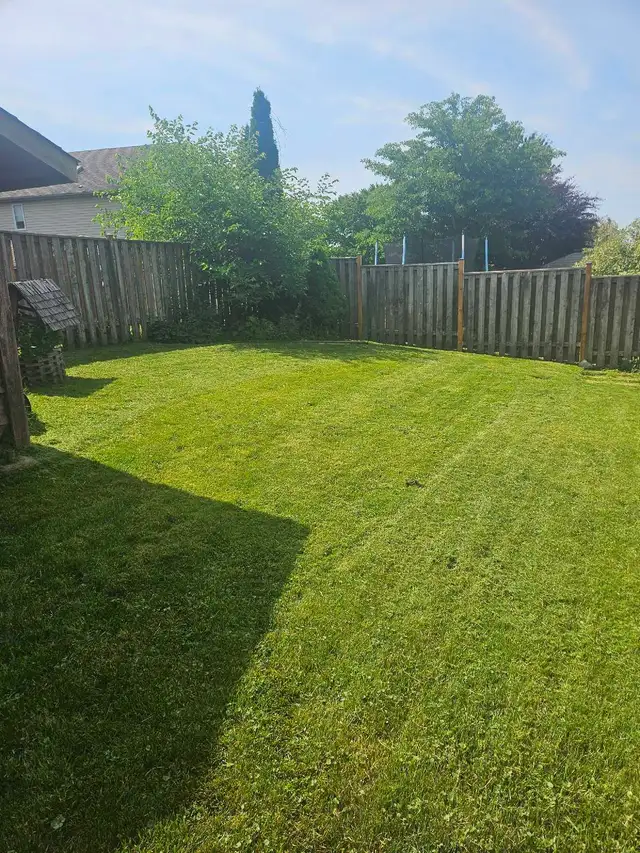 Grass cutting