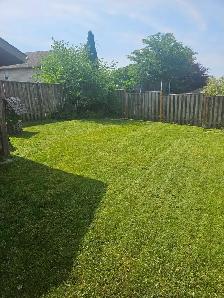 Grass cutting