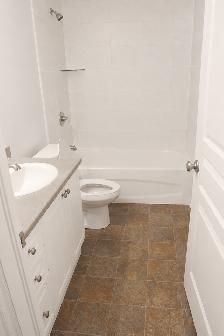 Bright 2-Bedroom Suite in Kingston's West End – Available July 1 - Photo 4