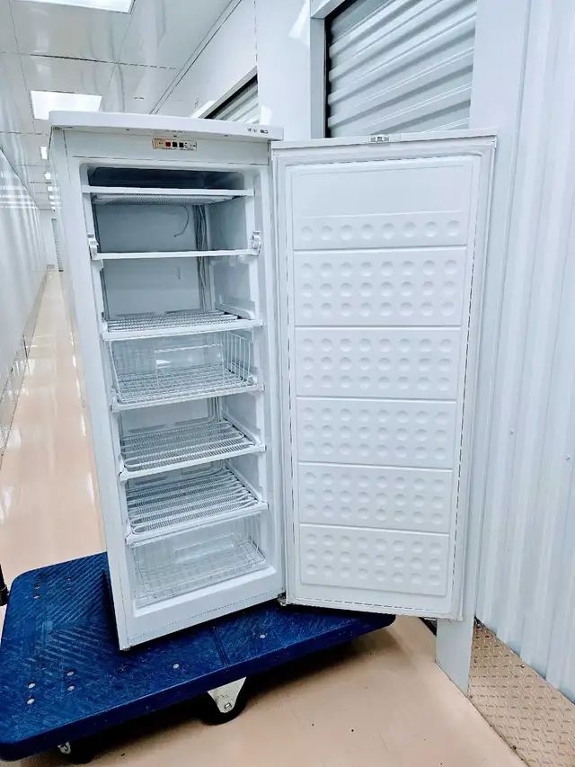 Ellipse Upright Freezer - Great Shape