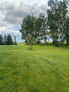 Acerage for sale 57 mins from South Calgary! - Photo 3