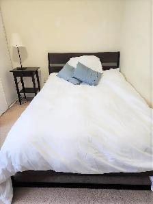 Beautiful Room for rent on 3rd floor - York U - Subway Line - Photo 5