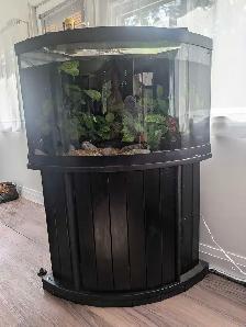 55 Gallon corner aquarium