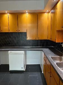 Rare 4-5 Bedroom…2 Bath…1 FREE MONTH…Plateau - Photo 9