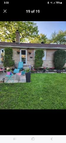Master Bedroom For Rent Near Algonquin College