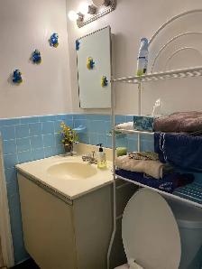 Master Bedroom For Rent Near Algonquin College - Photo 9