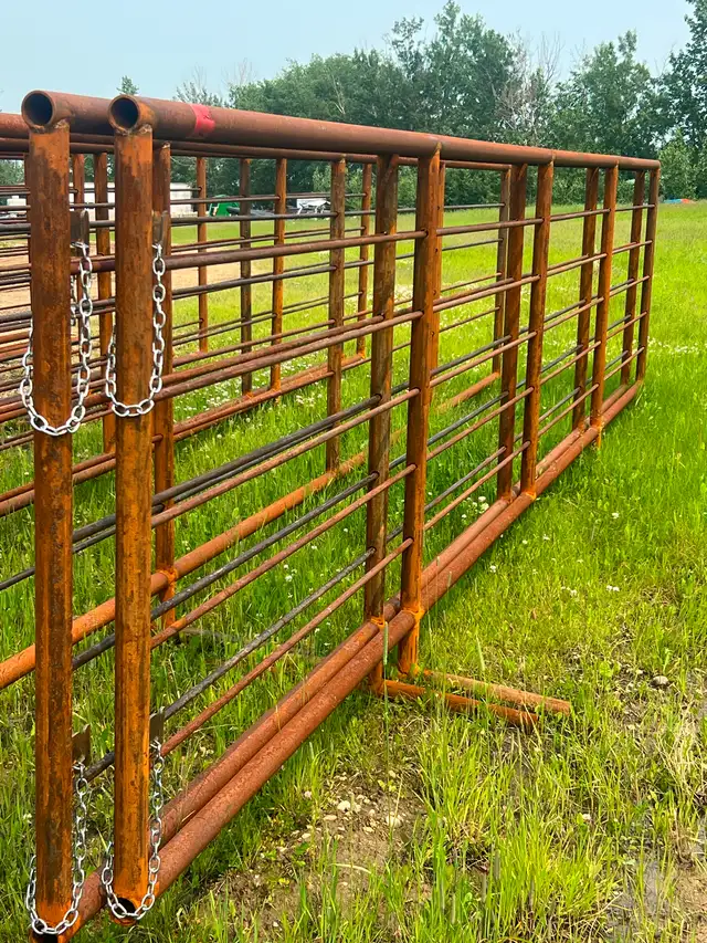 2 3/8 Pipe Panels For Sale