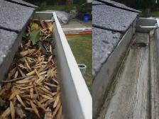 Gutter Cleaning
