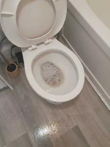 Offering Cleaning - Photo 3