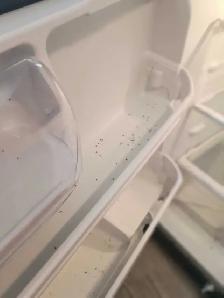 Offering Cleaning - Photo 4